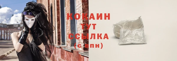 спиды Гусев