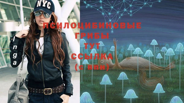 спиды Гусев