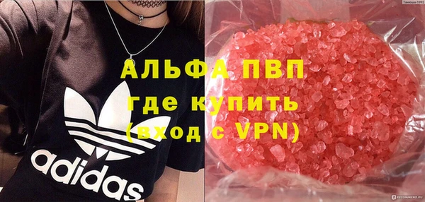 спиды Гусев