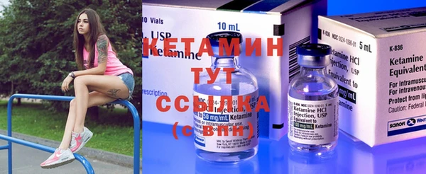 прущие грибы Вязьма
