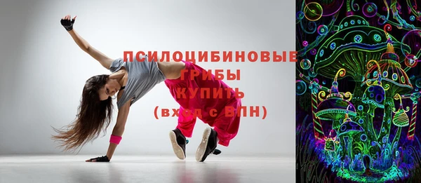 марки lsd Гусиноозёрск