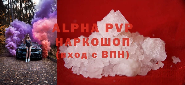 прущие грибы Вязьма