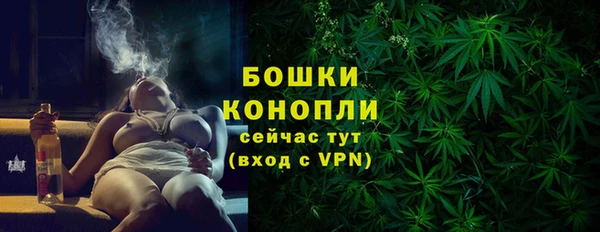 прущие грибы Вязьма